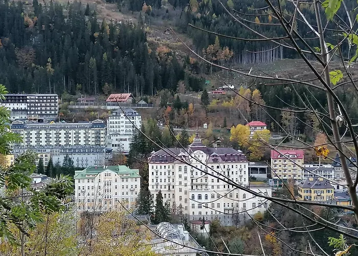 Belle View Gastein Apartment